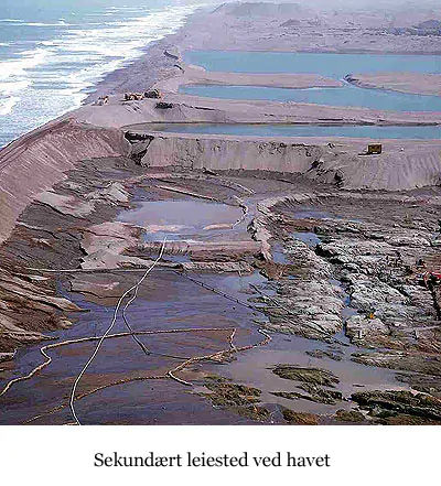 Sekundært leiested ved havet